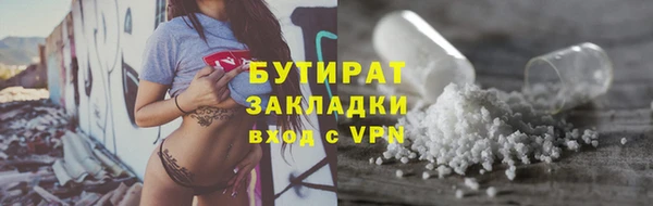 гидра Володарск