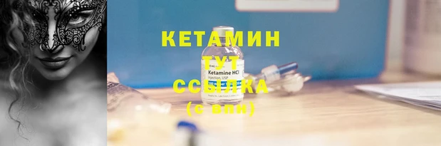 гидра Володарск