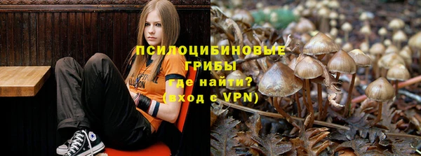 метадон Вяземский