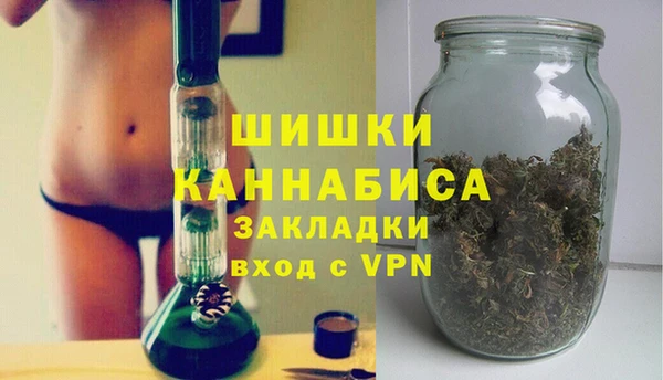 гидра Володарск