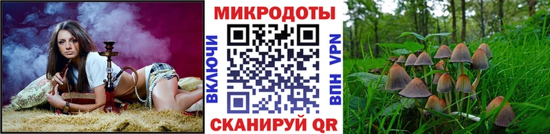 Галлюциногенные грибы Psilocybe  Купить где  Сортавала 